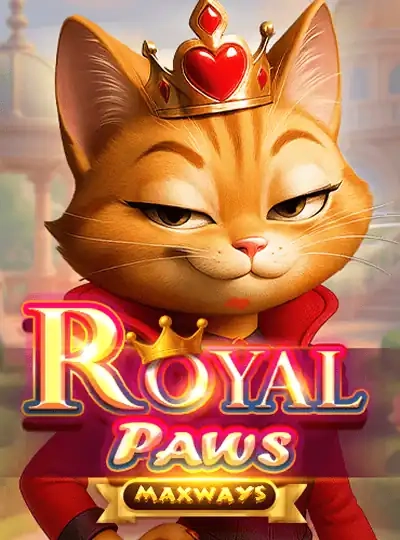 ceo13